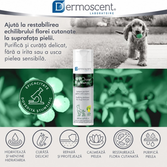 Dermoscent PYOclean Shampoo – Șampon Antimicrobian pentru Câini și Pisici – 200 ml